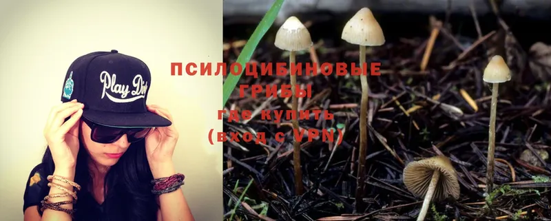 Галлюциногенные грибы Magic Shrooms  блэк спрут ссылка  Верхоянск  магазин продажи  